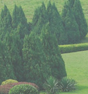 在线DDOS压力测试网页端